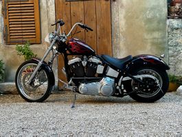 Harley Davidson Softail