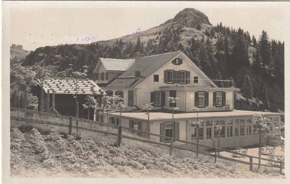 Rigi Staffelhöhe Hotel Edelweiss Kaufen Auf Ricardo