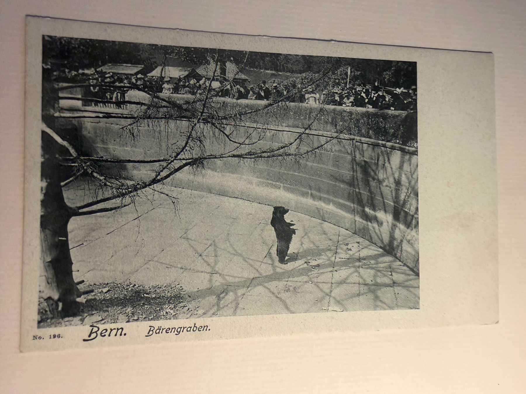 Cartoline postali: BERN - Bärengraben - Ansichtskarte – Usato da Tegerfelden venduto da siebenmacky