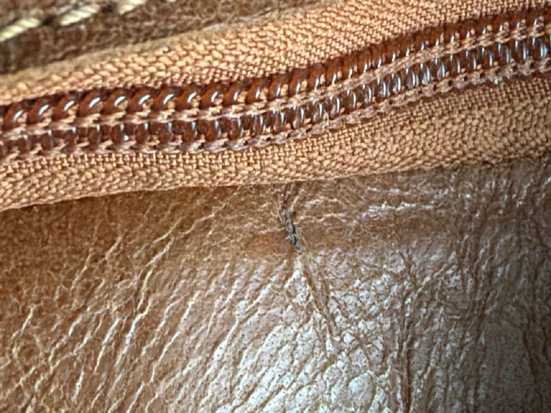 Zaini: KOELAP Rucksack aus Leder braun – Nuovo (secondo la descrizione) da Brütten venduto da Rod816 8