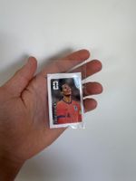Panini Coca Cola