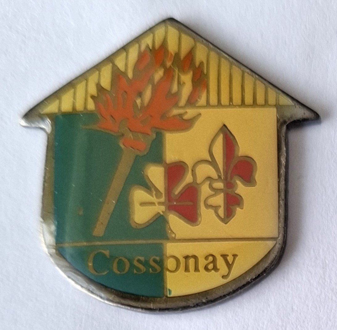 Plaquettes & Badges: Cossonay – D'occasion à Hinterkappelen par Schampus