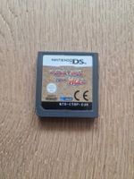 Nintendo DS Spiel - Neighbours from Hell - Top Zustand!