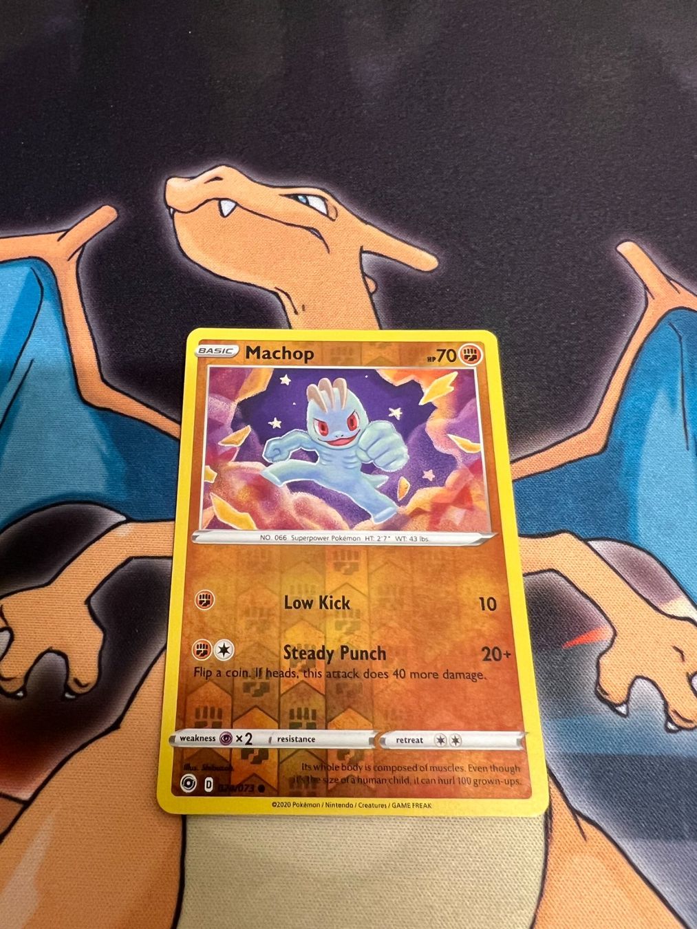 Pokémon Carte collezionabili: Machop (CPA 24) - Reverse Holo - Champion's Path – Nuovo (secondo la descrizione) da Bülach venduto da Pfrenzel