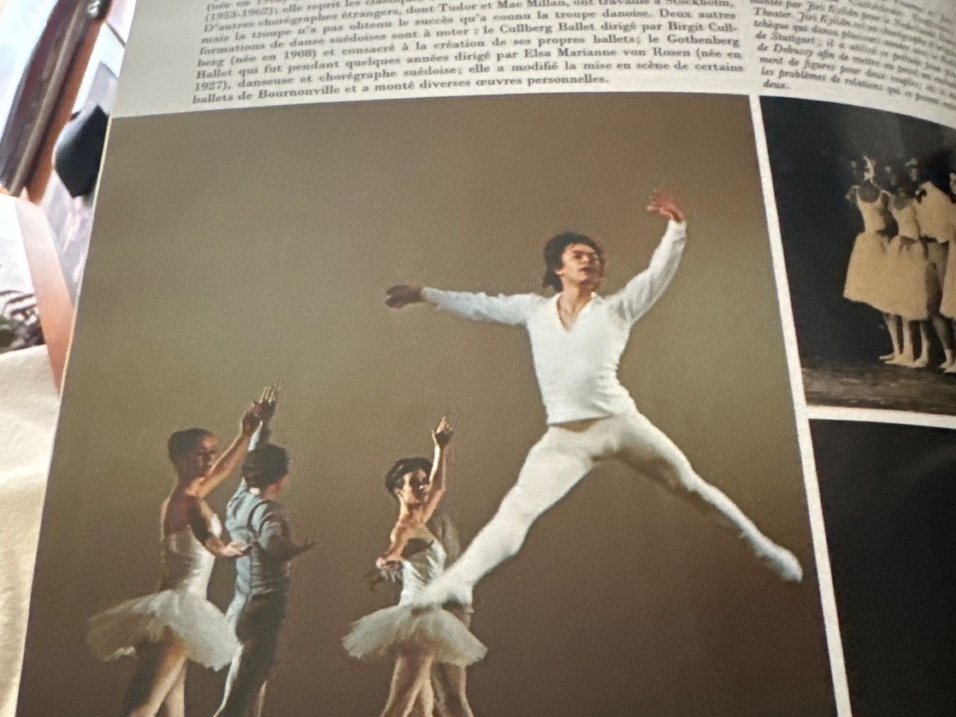 Libri: Livre la passion de la danse – Usato da moudon venduto da jaunejaunelapinjaune 4
