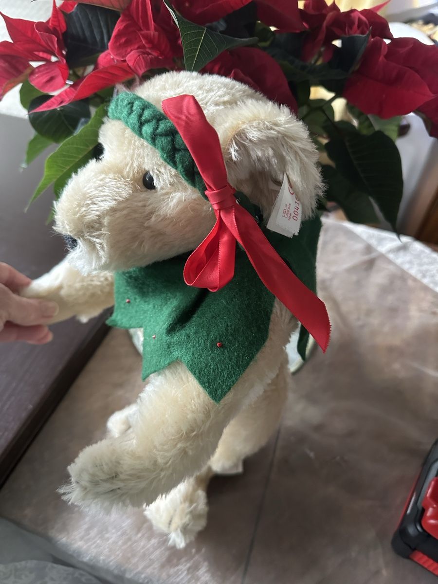 Steiff Bambole: Steiff Teddy Bär – Nuovo e nell'imballaggio originale da Mumpf venduto da A_B_E 5