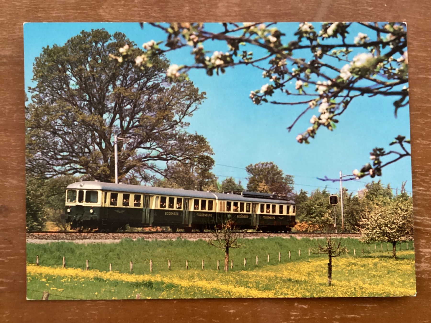 Cartoline postali: AK Bodensee-Toggenburg-Bahn – Usato da Zürich venduto da Tolima194