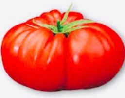 Ab 5.- fr 5 SAMEN SELTENE Fleischtomate BUFFALO STEAK F1‪