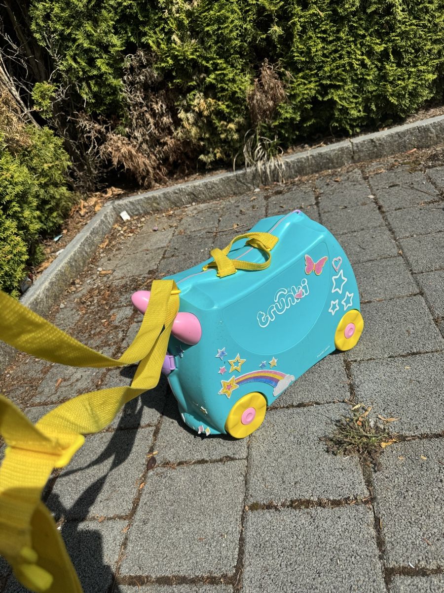Valigie: Trunki – Usato da Wohlen AG venduto da bongo8nunu 3