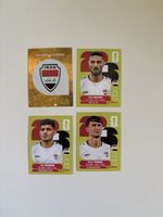 Panini: IRQ 1,IRQ 3,IRQ 7,IRQ 8