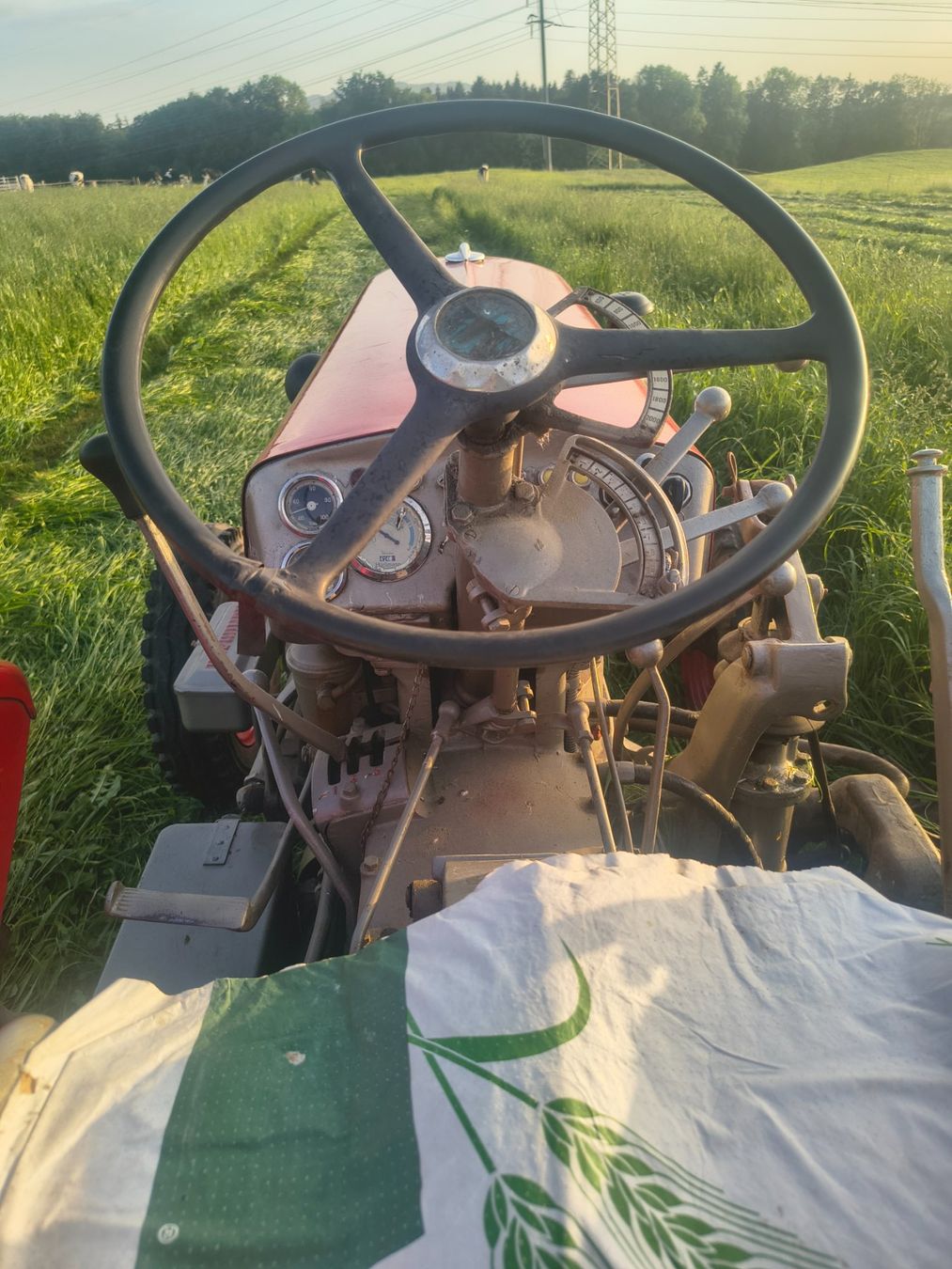 Hürlimann Trattori: Tracteur Hurlimann D90 – Usato da Treyvaux venduto da wae_k9bn 2
