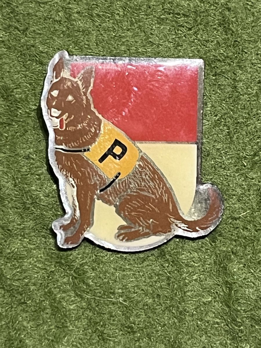 Plaketten & Abzeichen: Polizei Hund Solothurn Pin – Gebraucht aus Itingen von Bebbi6569