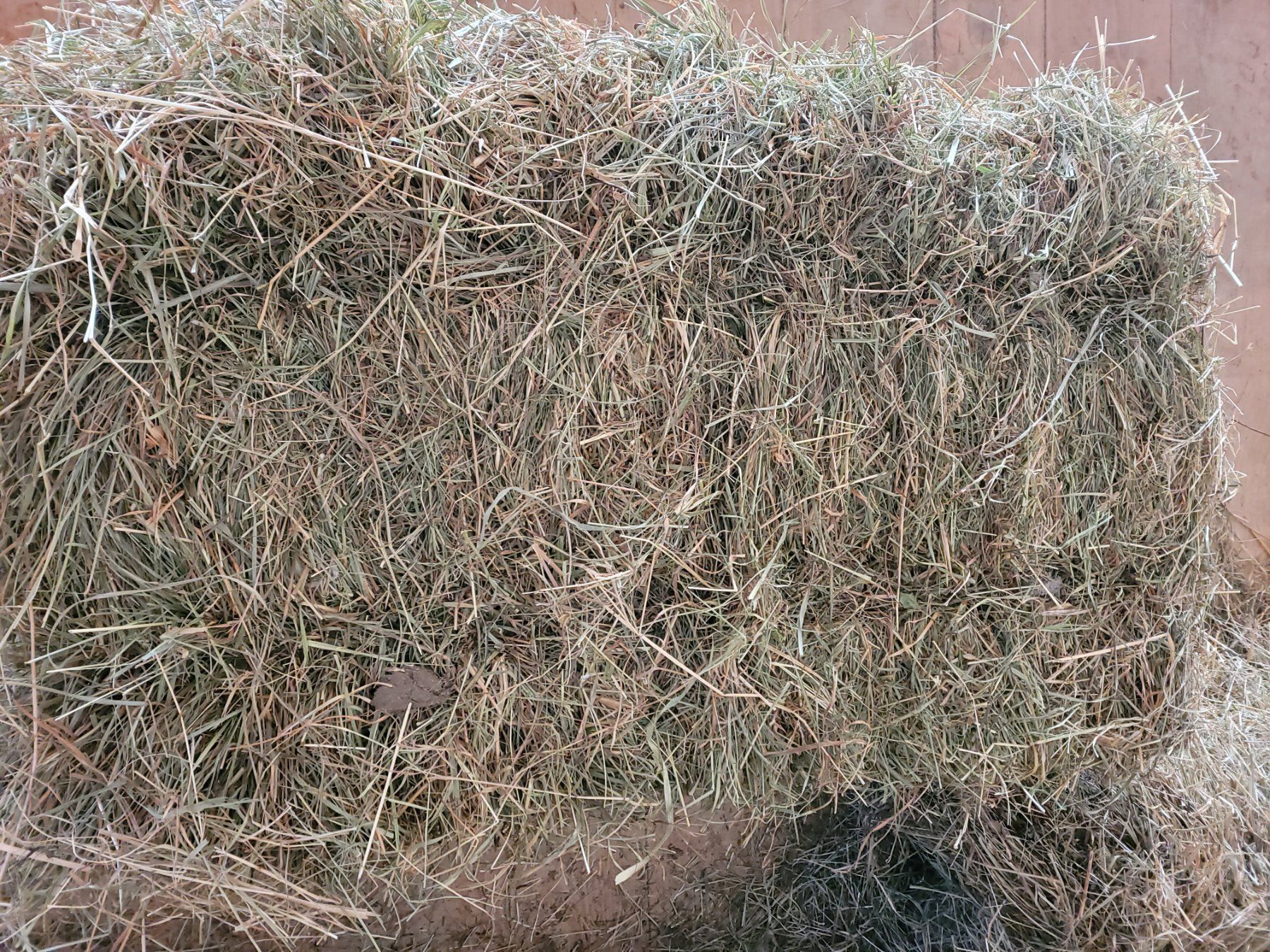 Mangimi: Emd/ Heu Kleinballen – Nuovo e nell'imballaggio originale da Büren SO venduto da baschi87 1