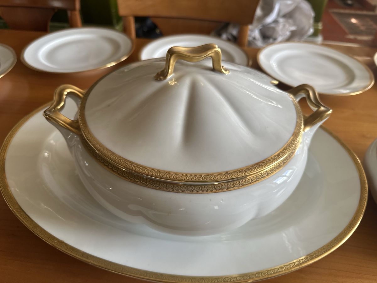 Set di piatti: Limoges Speiseservice – Usato da Brugg AG venduto da Floh1001 4