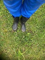 Arbeitskleidung Stall Stiefel Gr.43