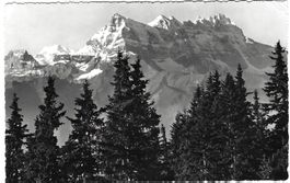 AK Leysin - Les Dents du Midi gelaufen 1968