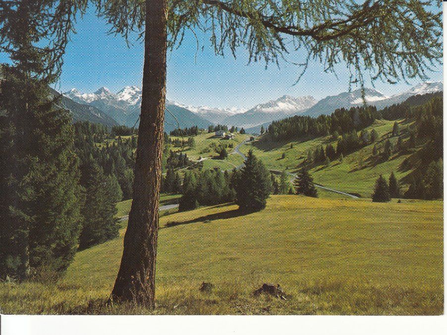 Cartoline postali: Lenzerheide ca. 1970 – Usato da Bürglen TG venduto da StampGraf