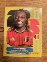 Panini Sticker 2026 BEL 16