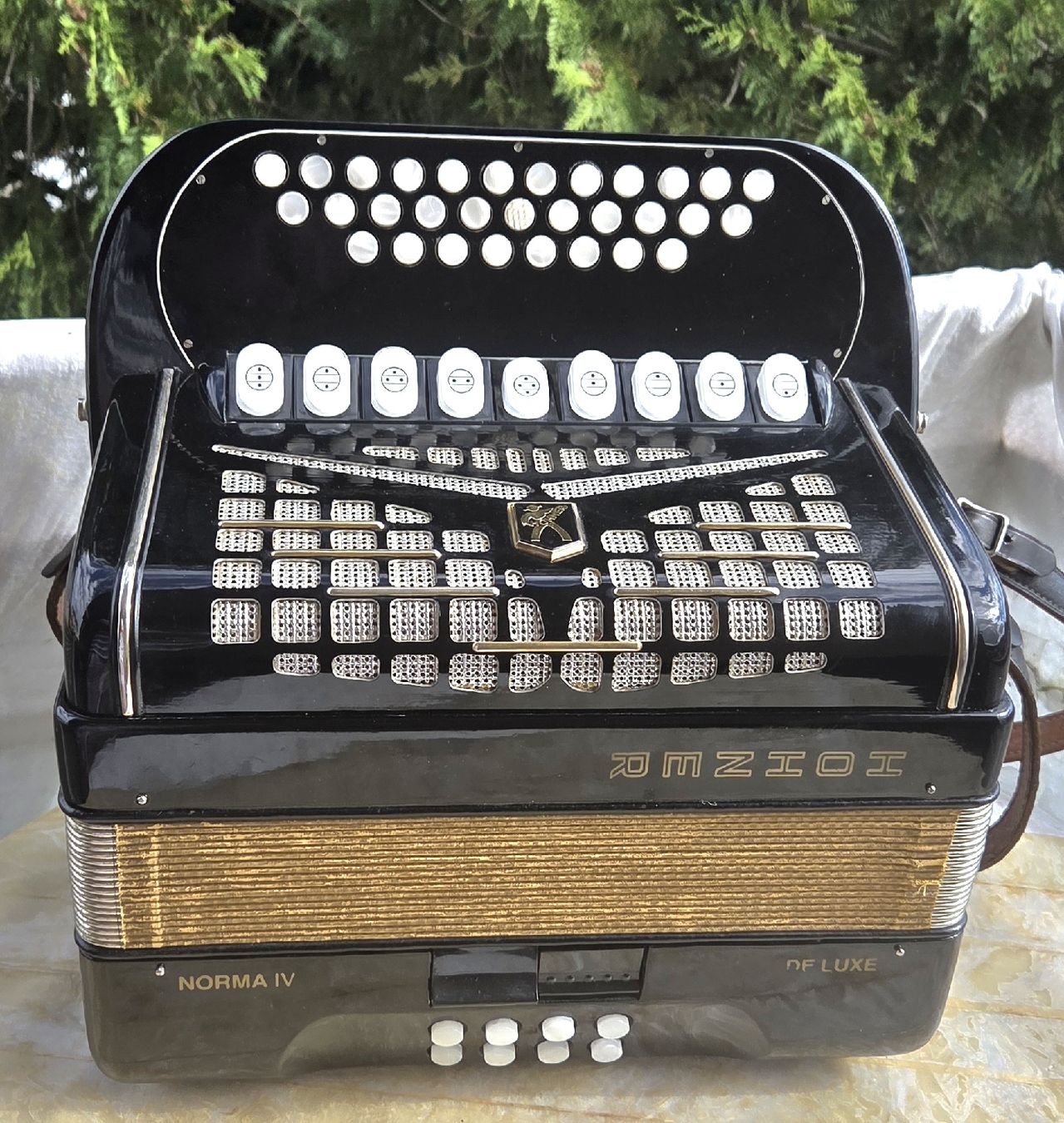 Hohner Strumenti musicali: Accordéon hohner Norma IV – Usato da Penthalaz venduto da EvandroLuz