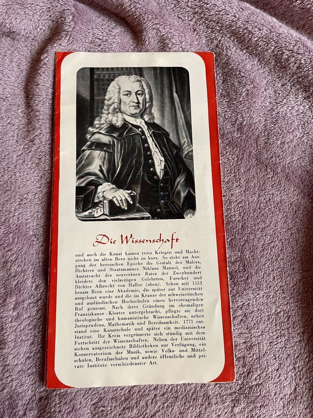 Documenti: Bern Flyer – Usato da Bern venduto da Dafi7 1