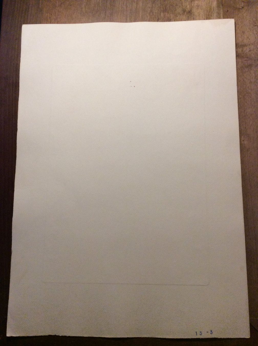 Grafica & Litografie: Planche Ant. Serantoni dis. e inc – Usato da Genève venduto da edelweiss1900 3