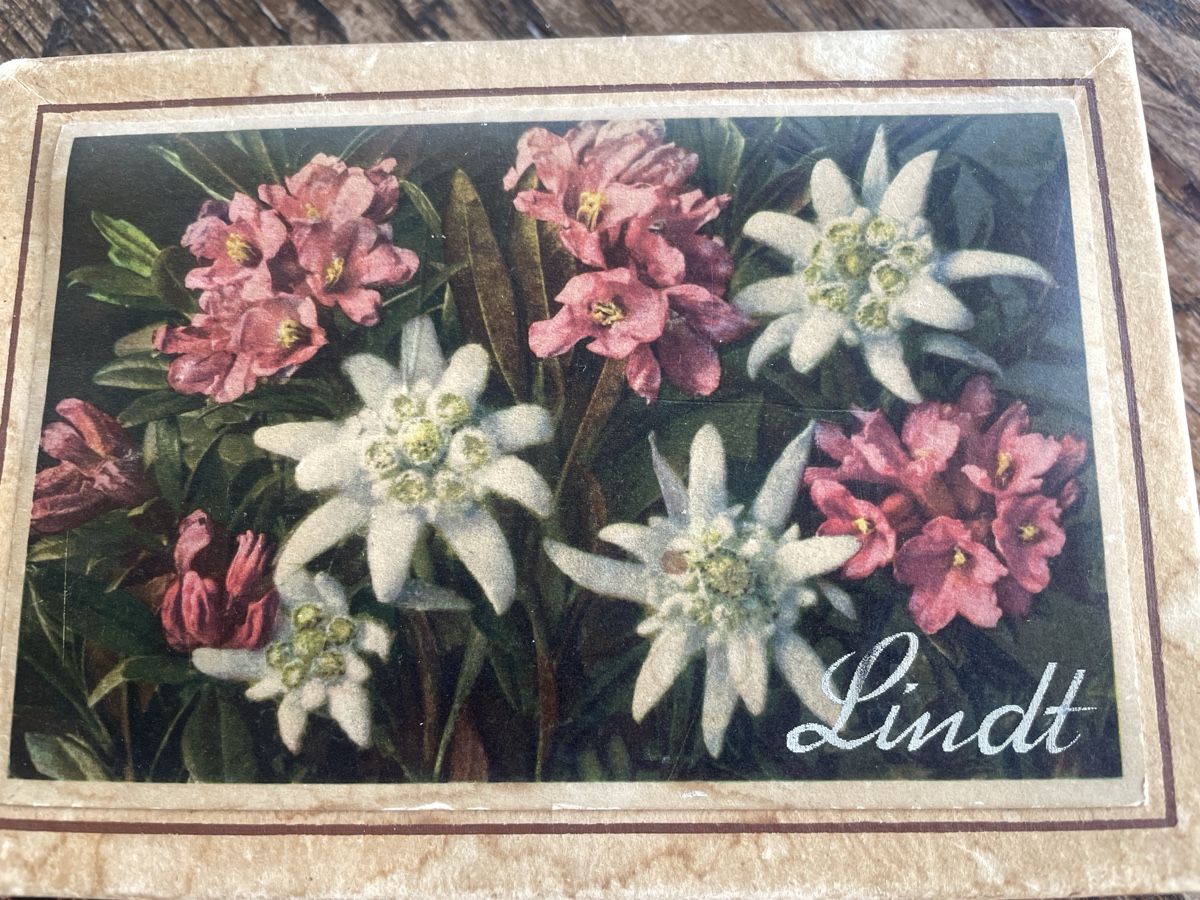Barattoli: Rara scatola Lindt vintage – Usato da Breganzona venduto da BlueBlue