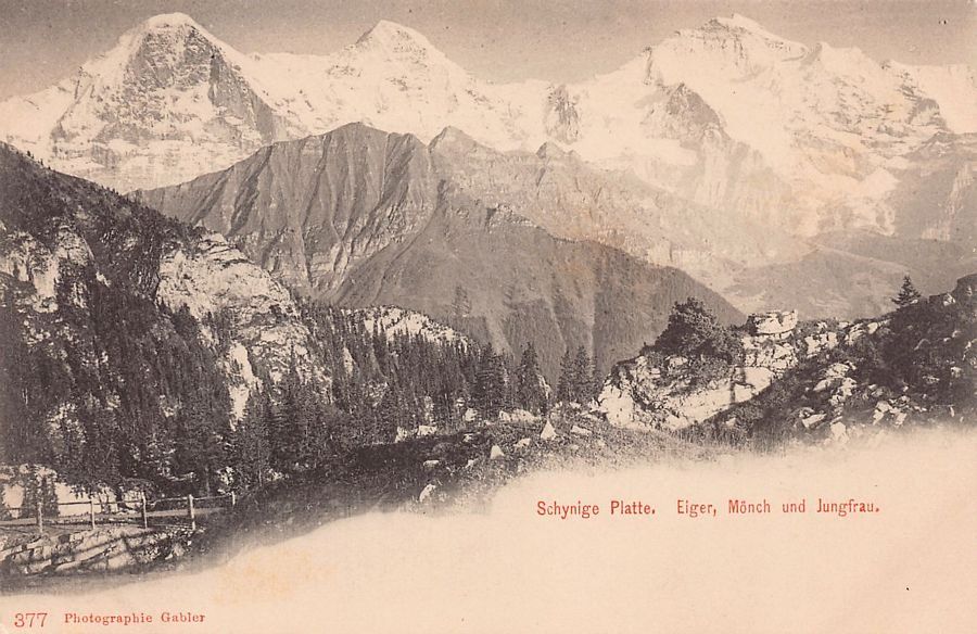 Ansichtskarten: ALPIN: Schynige Platte, Eiger, Mönch, Jungfrau um 1900 – Gebraucht aus Frauenfeld von POML