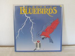 ELECTRIC BLUEBIRDS.   Folk Rock, Cajun, Zydeco