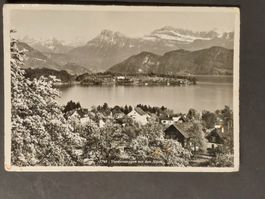 AK gel, Meggen mit Alpen, ca 1940