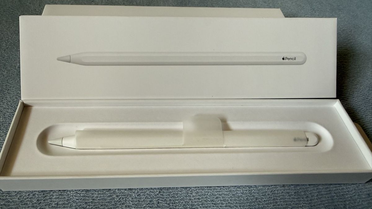 Apple Penna & Evidenziatori: Apple Pencil 2. Generation neuwertig mit Zubehör – Nuovo (secondo la descrizione) da Gurmels venduto da sta_p5tr 2