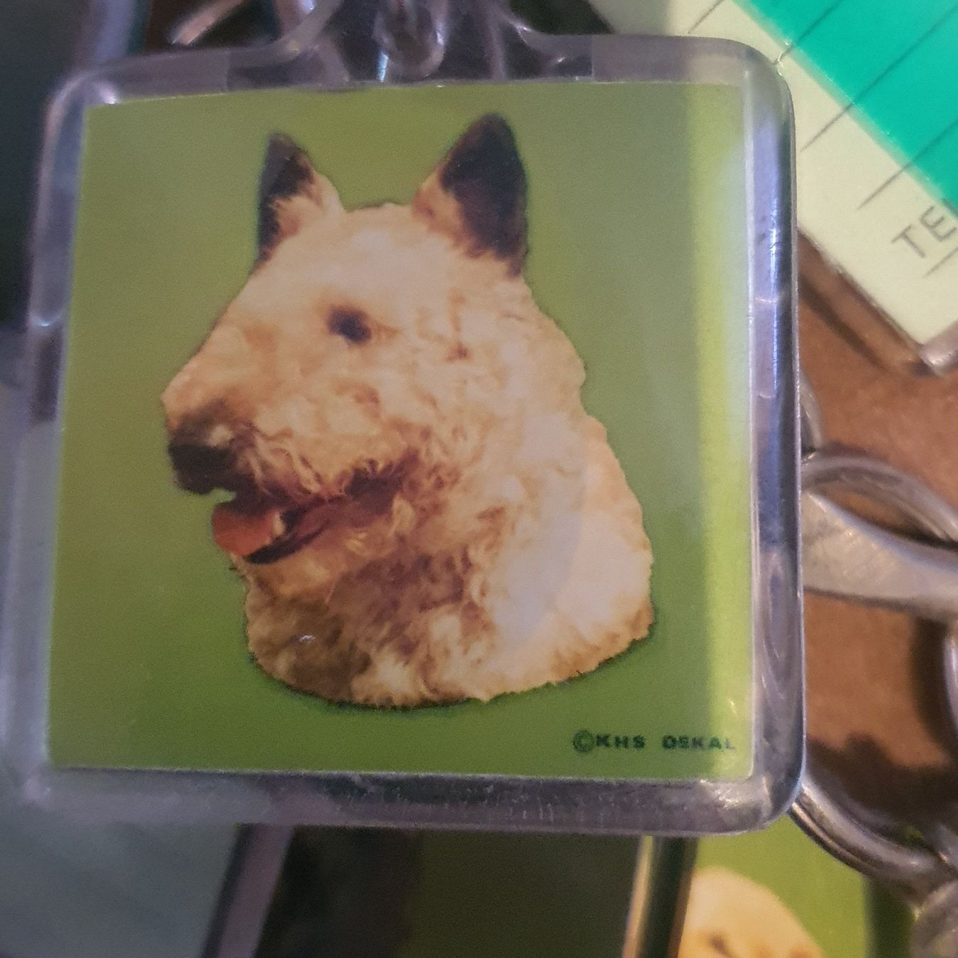 Portachiavi: Porte-clés chien avec adresse 4x4 cm – Nuovo (secondo la descrizione) da DUGNY (-Leytron) venduto da Rdeny