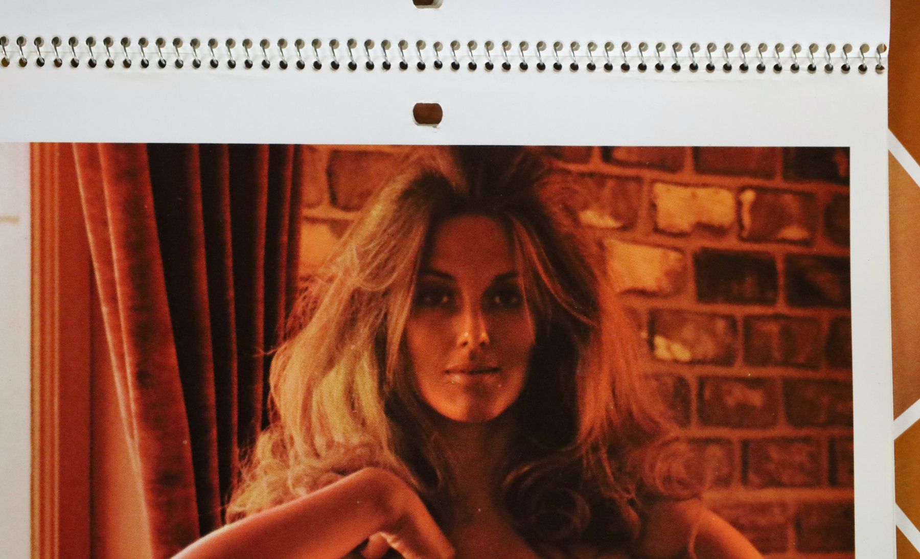 Playboy Calendari: PLAYBOY Kalender 1972 – Usato da Birrwil venduto da brandschatz_birrwil 8