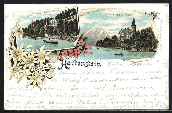 Cartoline postali: Litho Hertenstein, Pension Hertenstein u – Usato da Berlin venduto da bartko-reher