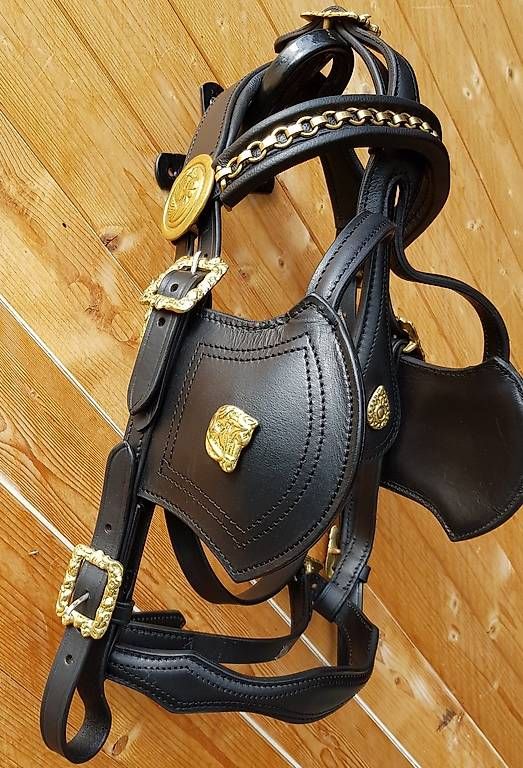 Attrezzatura da arrampicata: Harnais  exclusive pour cheval taille  Cob – Usato da Hinterforst venduto da Elfrasty 4