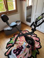 KOSTENLOSER Heimsporttrainer Sportana Eagle 3 Zustand gut