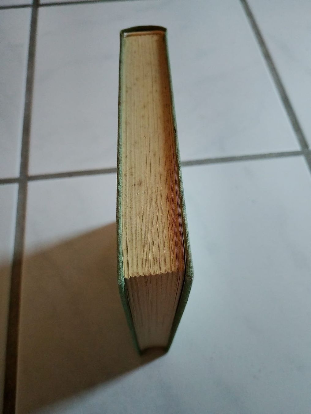 Libri: Bambi - Felix Salten – Usato da Ehrendingen venduto da 2Guagua2 2