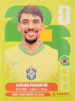 Panini FIFA World Cup BRA 9