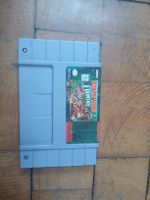 DONKEY KONG COUNTRY 