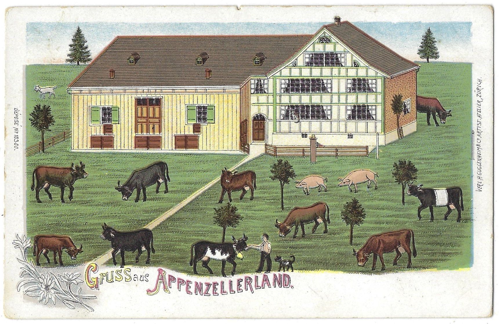 Ansichtskarten: Gruss  aus  APPENZELLERLAND – Gebraucht aus Bütschwil von Jackson1A