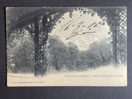 Trinkhalle bei Interlaken - 1906 - Stempel !!!