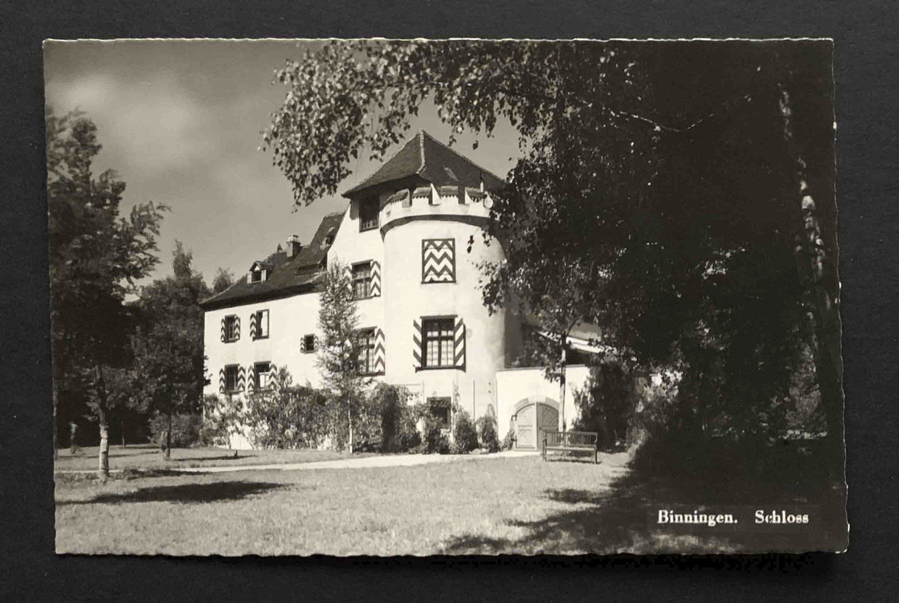 Cartoline postali: AK Binningen Schloss – Usato da Goldau venduto da artelier1