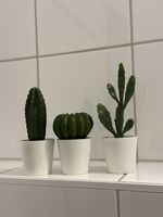 Dekorative künstliche Pflanzen