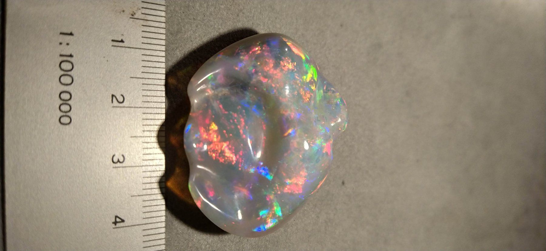 Fossili: Opalisierte Muschel – Nuovo (secondo la descrizione) da Dieterswil venduto da Opal66