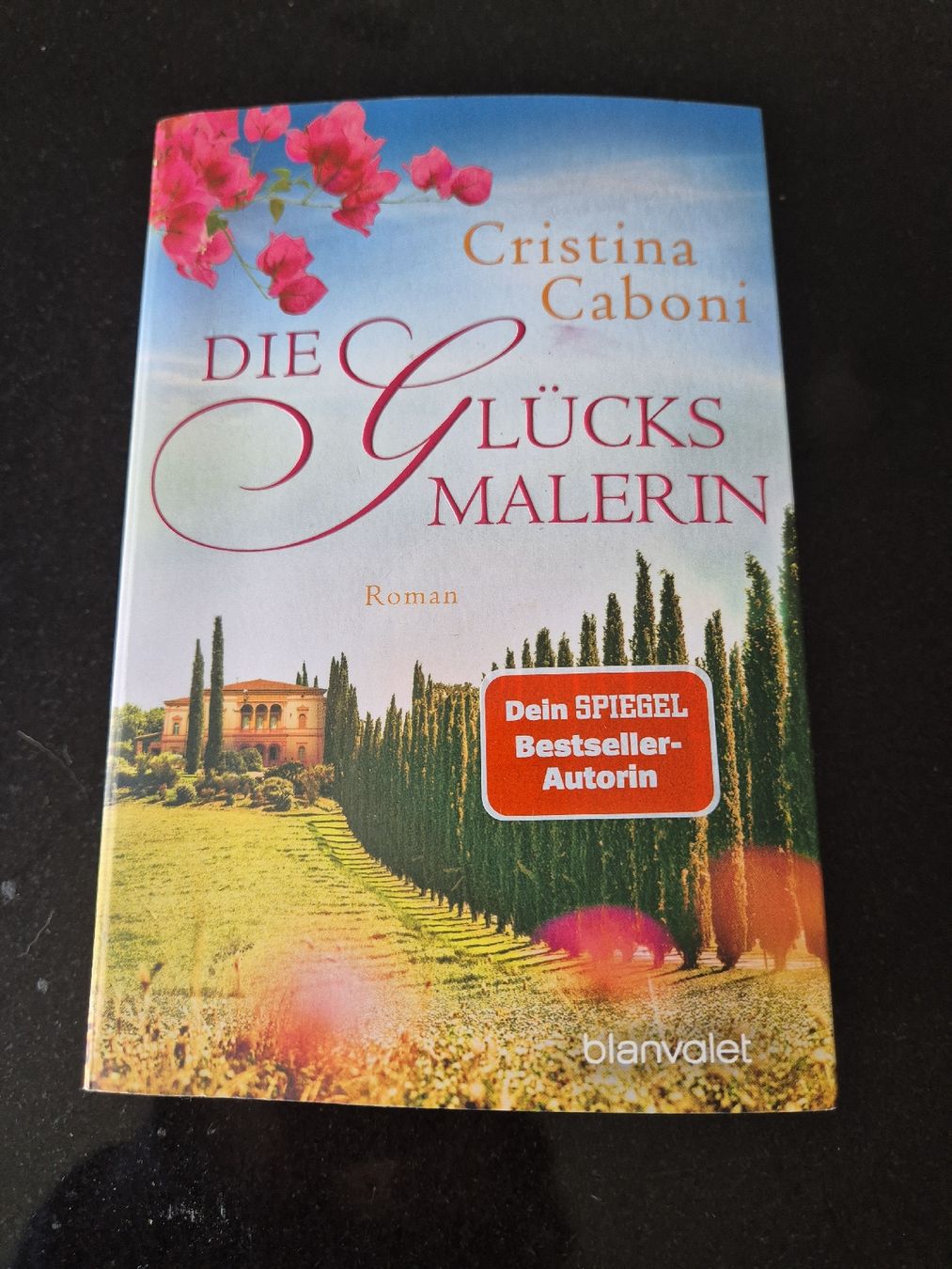 Libri: Cristina Caboni - Die Glücksmalerin – Usato da Seedorf UR venduto da Carmena3