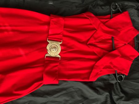 Damen Kleid rot ärmellos mit Kragen guter Zustand