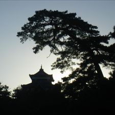 Profile image of audilimousine