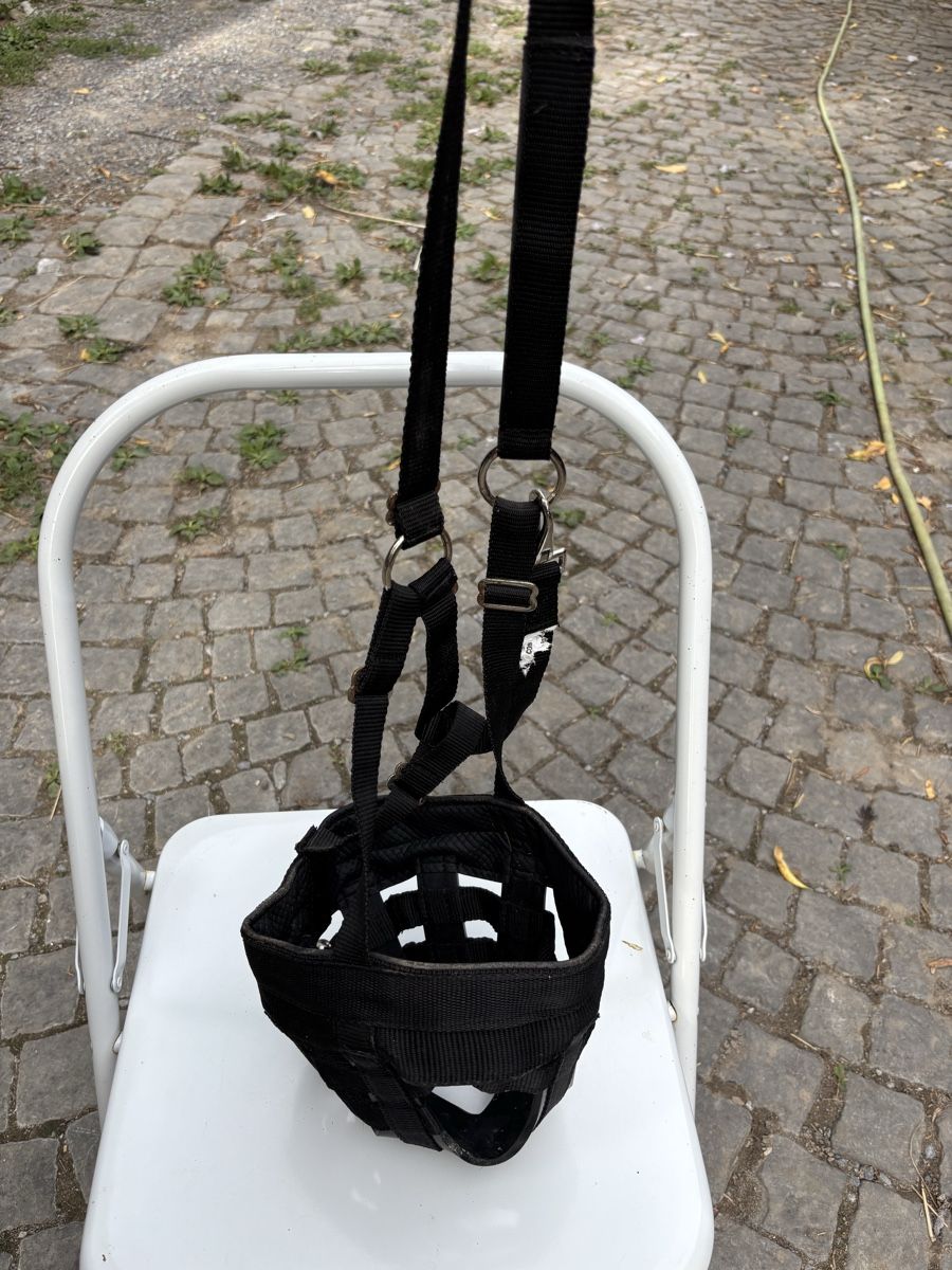 Brides, licols: Fressbremse Showmaster – D'occasion à St. Gallen par may_8fbd