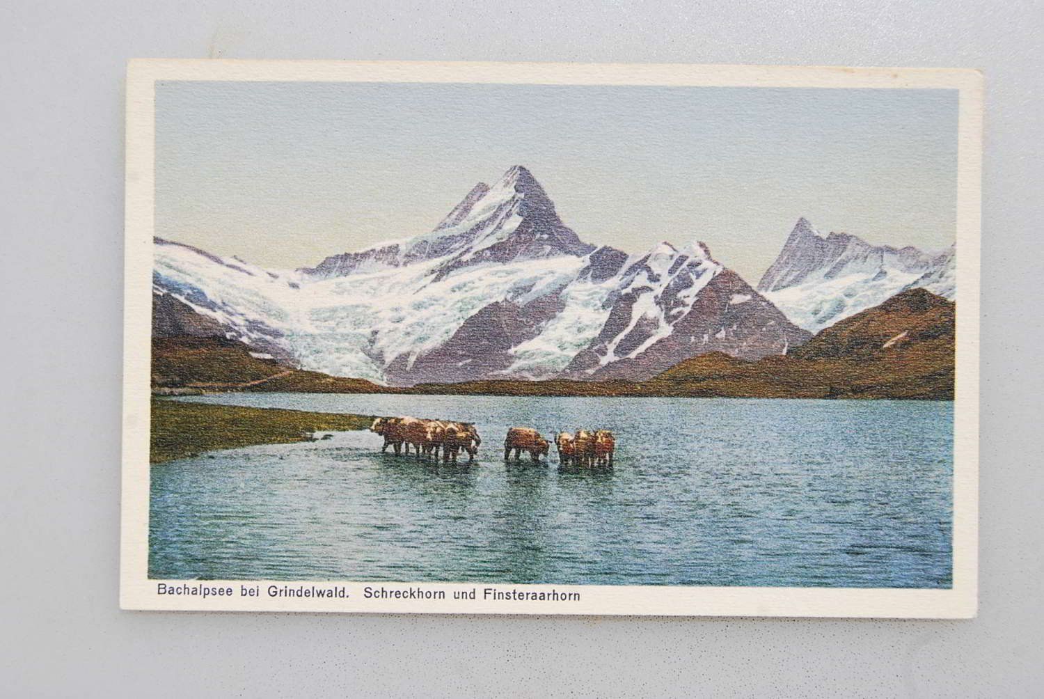 Cartoline postali: AK Bachalpsee bei Grindelwald – Usato da Rüfenacht BE venduto da Toro06