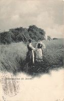 Wehntalerinnen