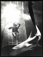 Fotografie Lady Shark Trainer, Taucherin